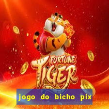 jogo do bicho pix da sorte