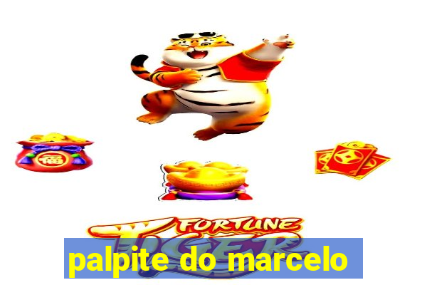 palpite do marcelo