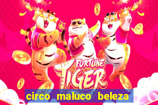 circo maluco beleza recife circo maluco