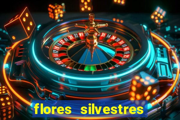 flores silvestres desbravadores desbravadores 25 flores silvestres e seus nomes