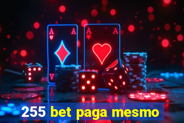 255 bet paga mesmo