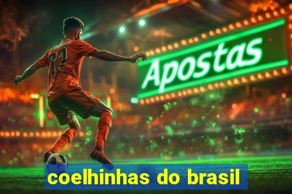 coelhinhas do brasil