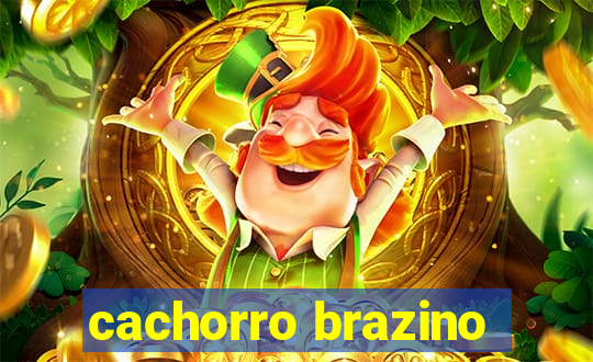 cachorro brazino