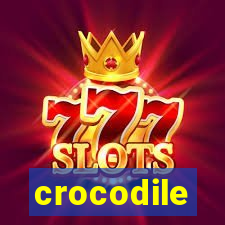 crocodile-pg.com