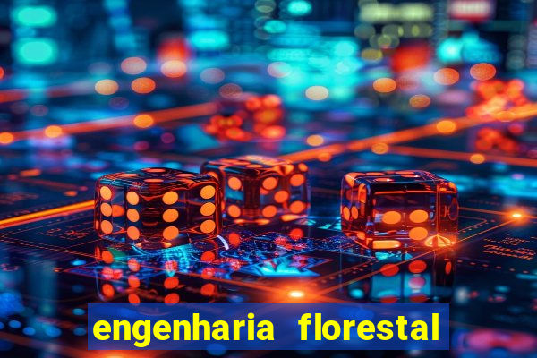 engenharia florestal ead cruzeiro do sul