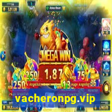 vacheronpg.vip